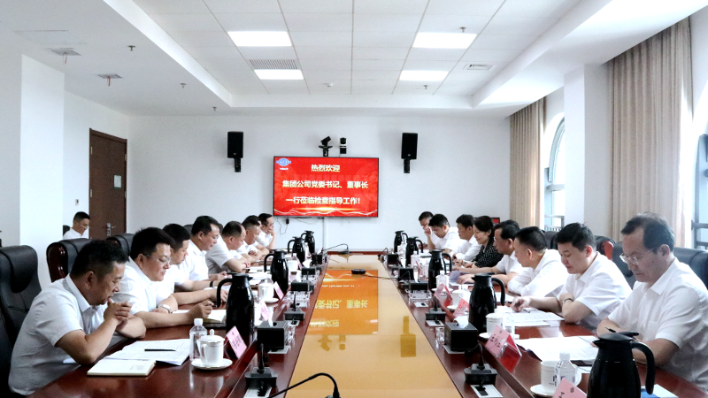 2022年6月，集團公司黨委書記、董事長戴和根一行到公司調研指導工作